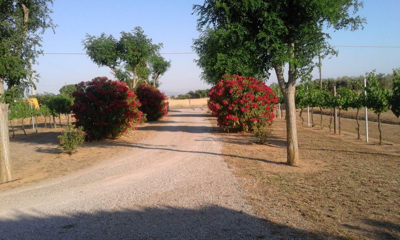 Monolocale Con Giardino Villa Castiglione della Pescaia Exterior foto